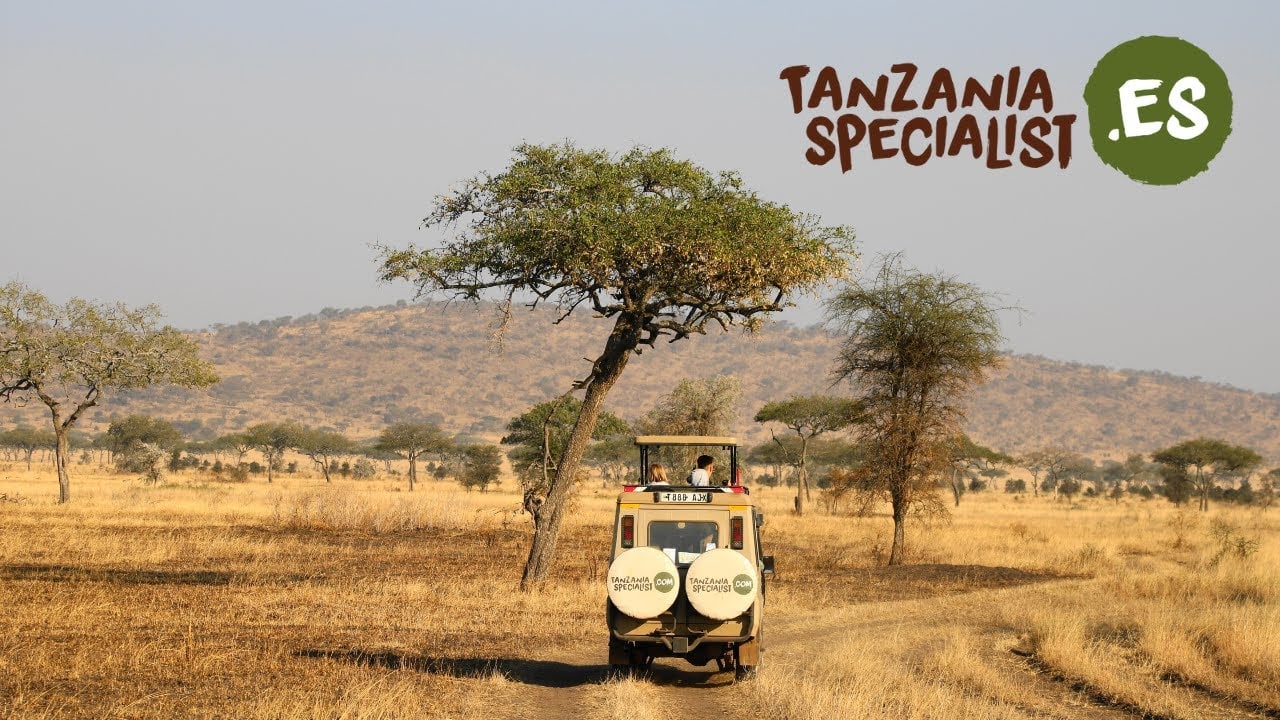 Un safari inolvidable en Tanzania con Tanzania Specialist