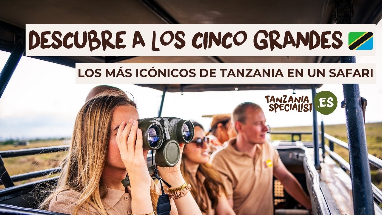 Vive un encuentro con los Cinco Grandes en Tanzania junto a Tanzania Specialist