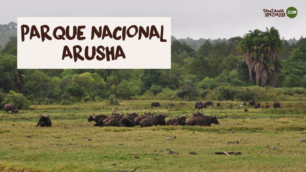 Explora el Parque Nacional Arusha - Tanzania Specialist