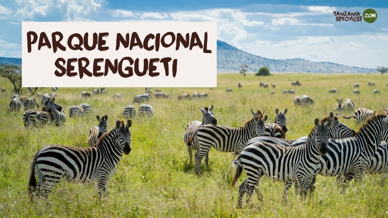 Explora el Parque Nacional Serengueti - Tanzania Specialist
