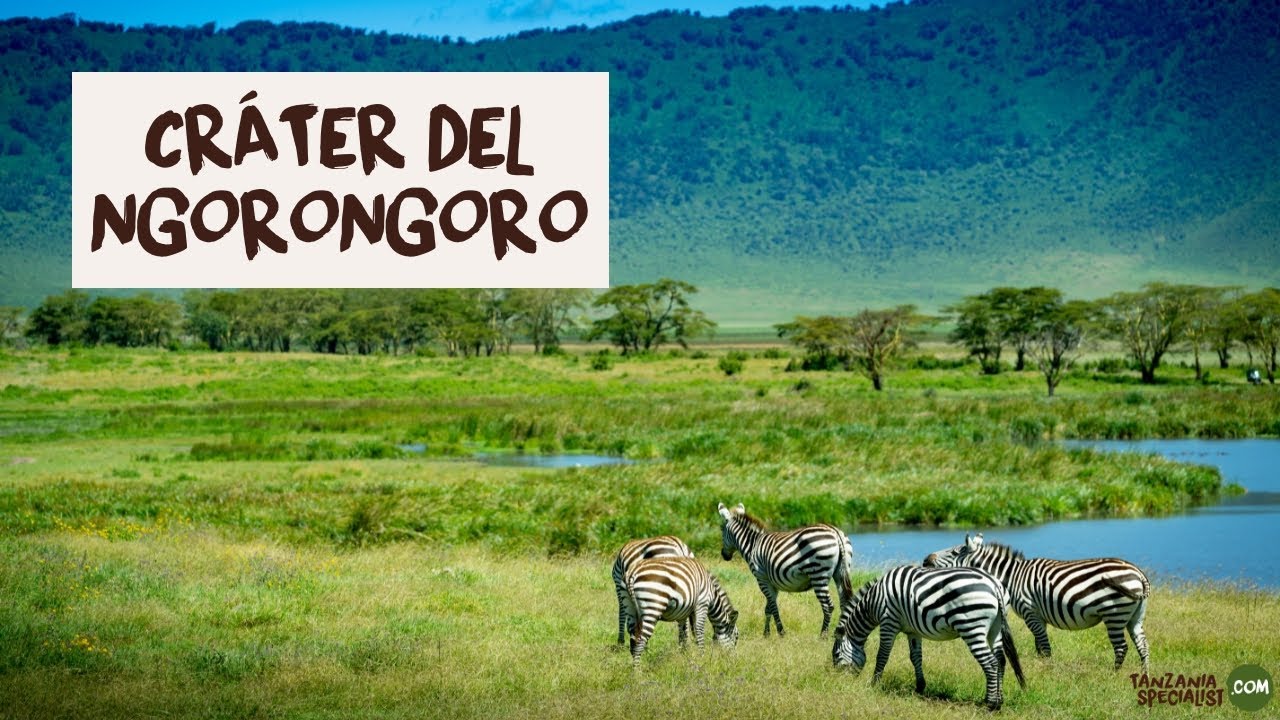 Explora el Cráter del Ngorongoro  - Tanzania Specialist