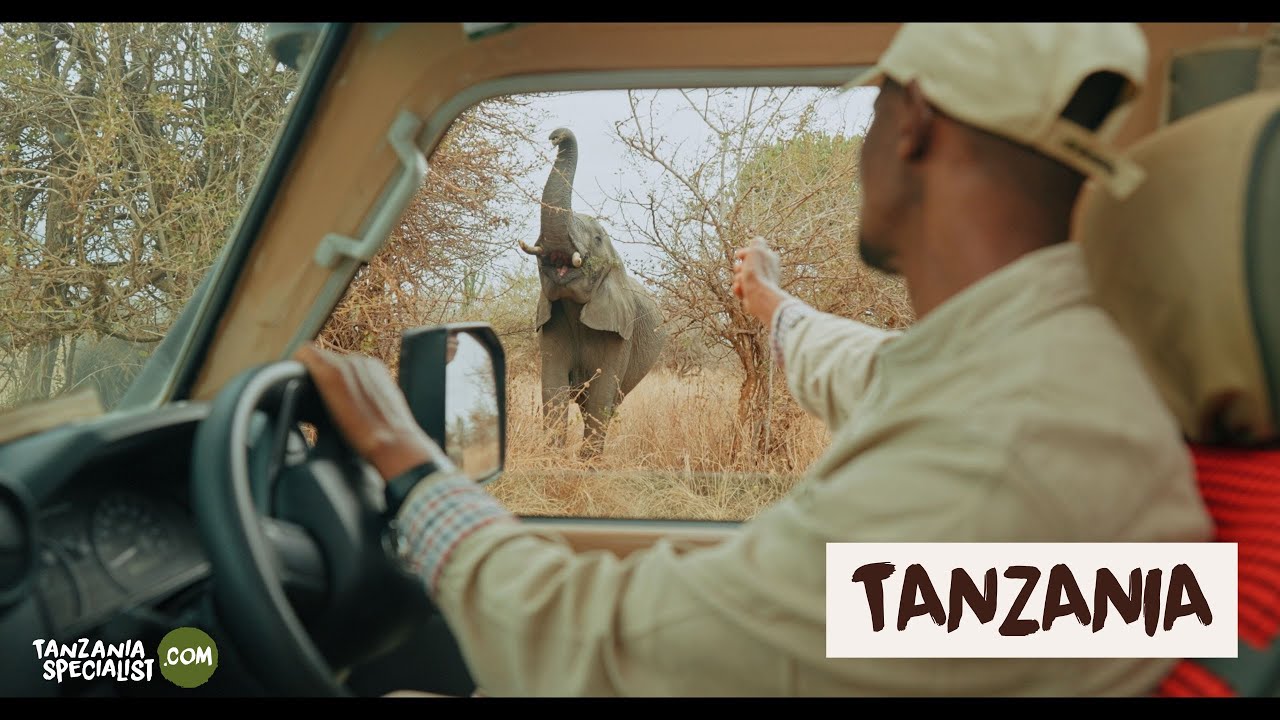 Zanzibar y las islas de Tanzania - Tanzania Specialist