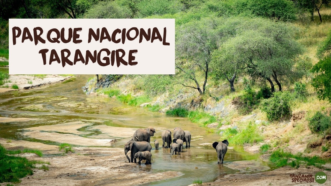 Explora el Parque Nacional Tarangire - Tanzania Specialist