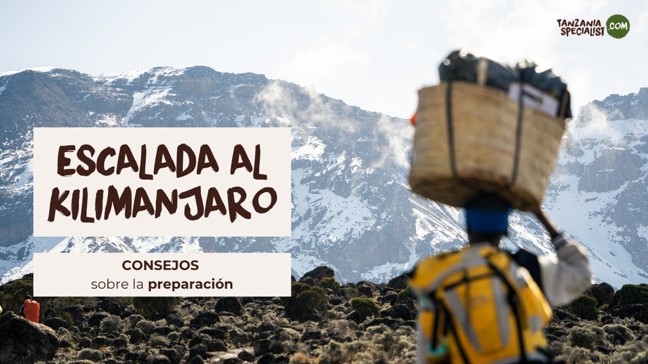 Escalada al Kilimanjaro - Consejos sobre la preparación - Tanzania Specialist