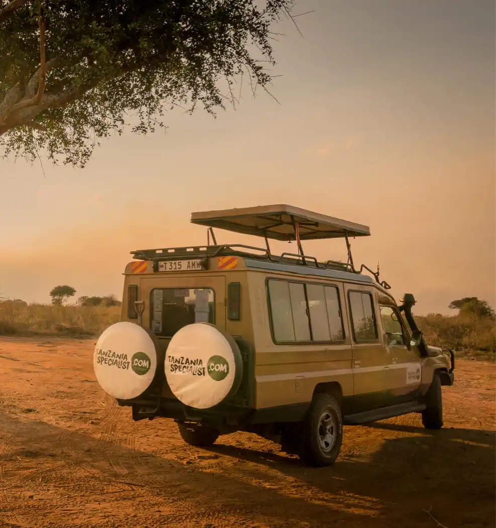 Safari a pie en el Parque Nacional de Ruaha – Medio día