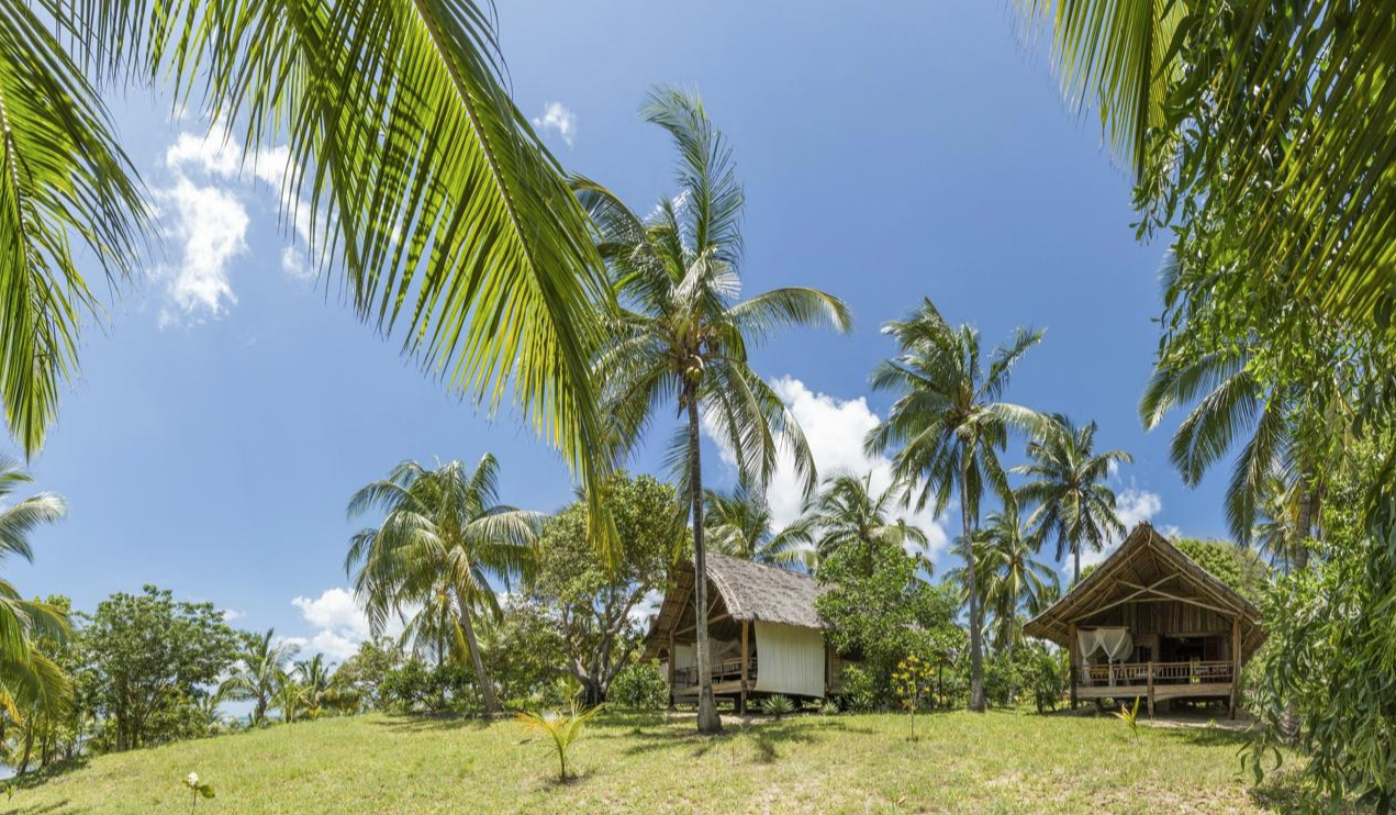 Tanzania Safari Best Time