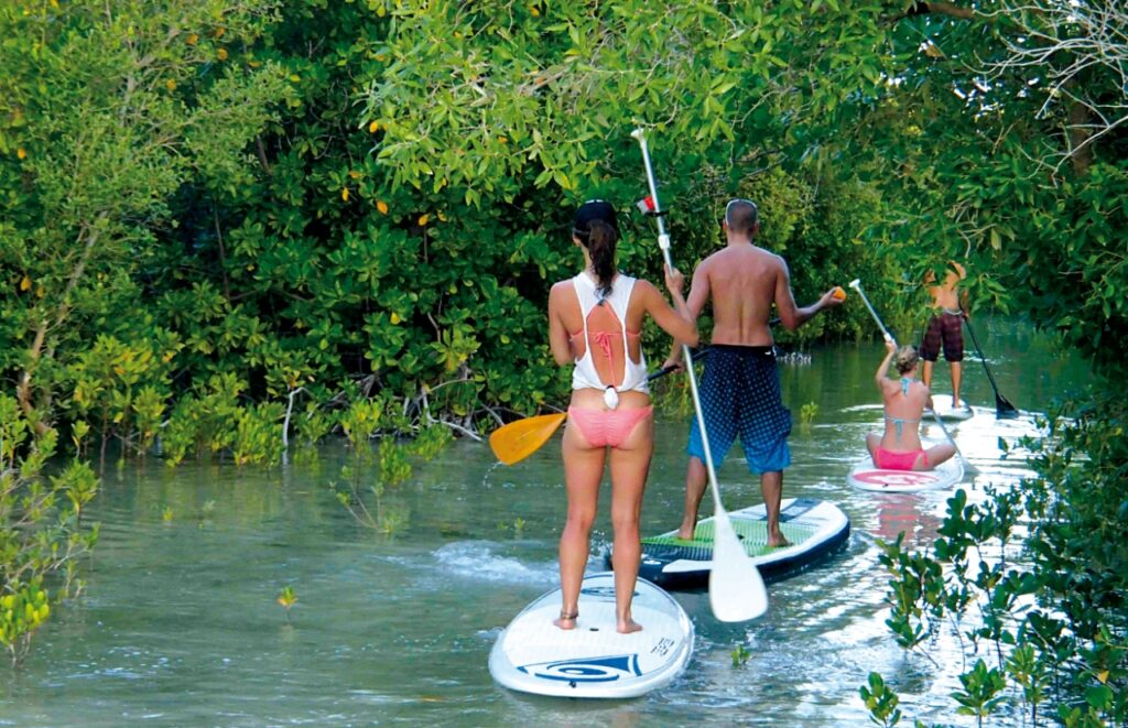 Paseo entre manglares