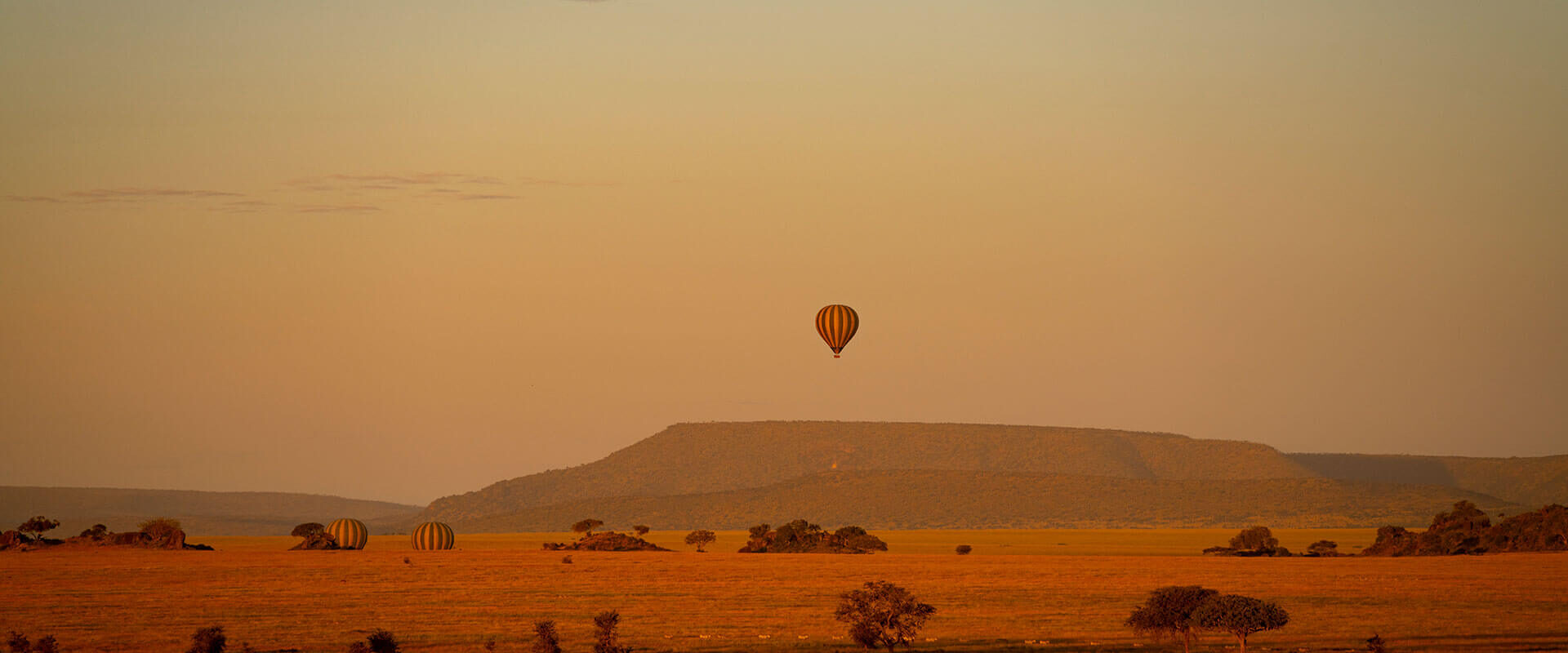 Descubre Tanzania desde un globo aerostático