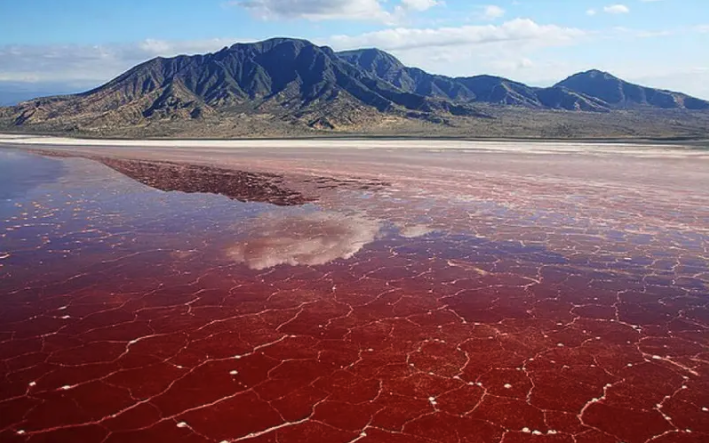 Lake Natron red