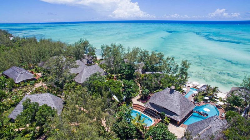 Tulia zanzibar