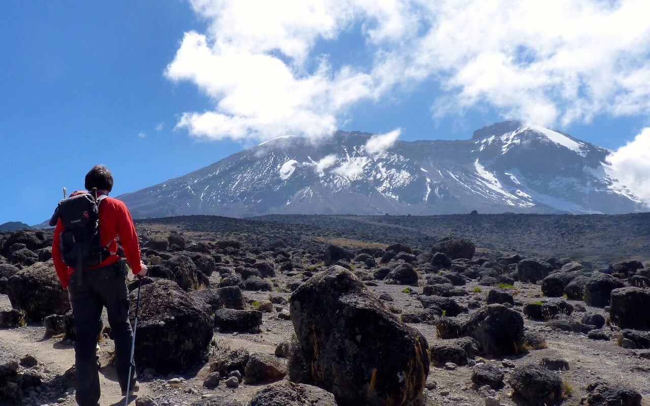 Climbing the Kilimanjaro