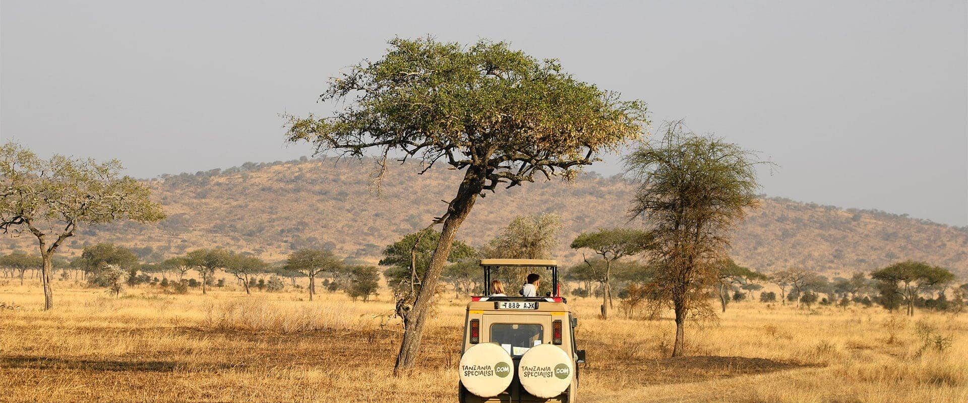 Jeep driving away