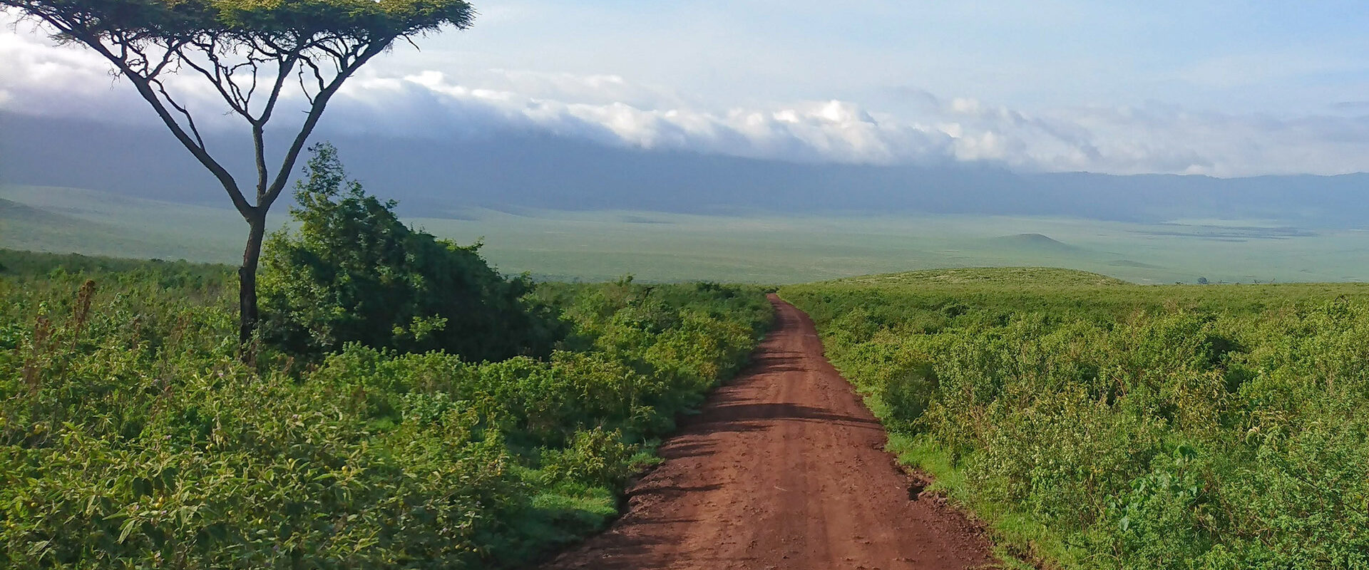 parques nacionales de Tanzania