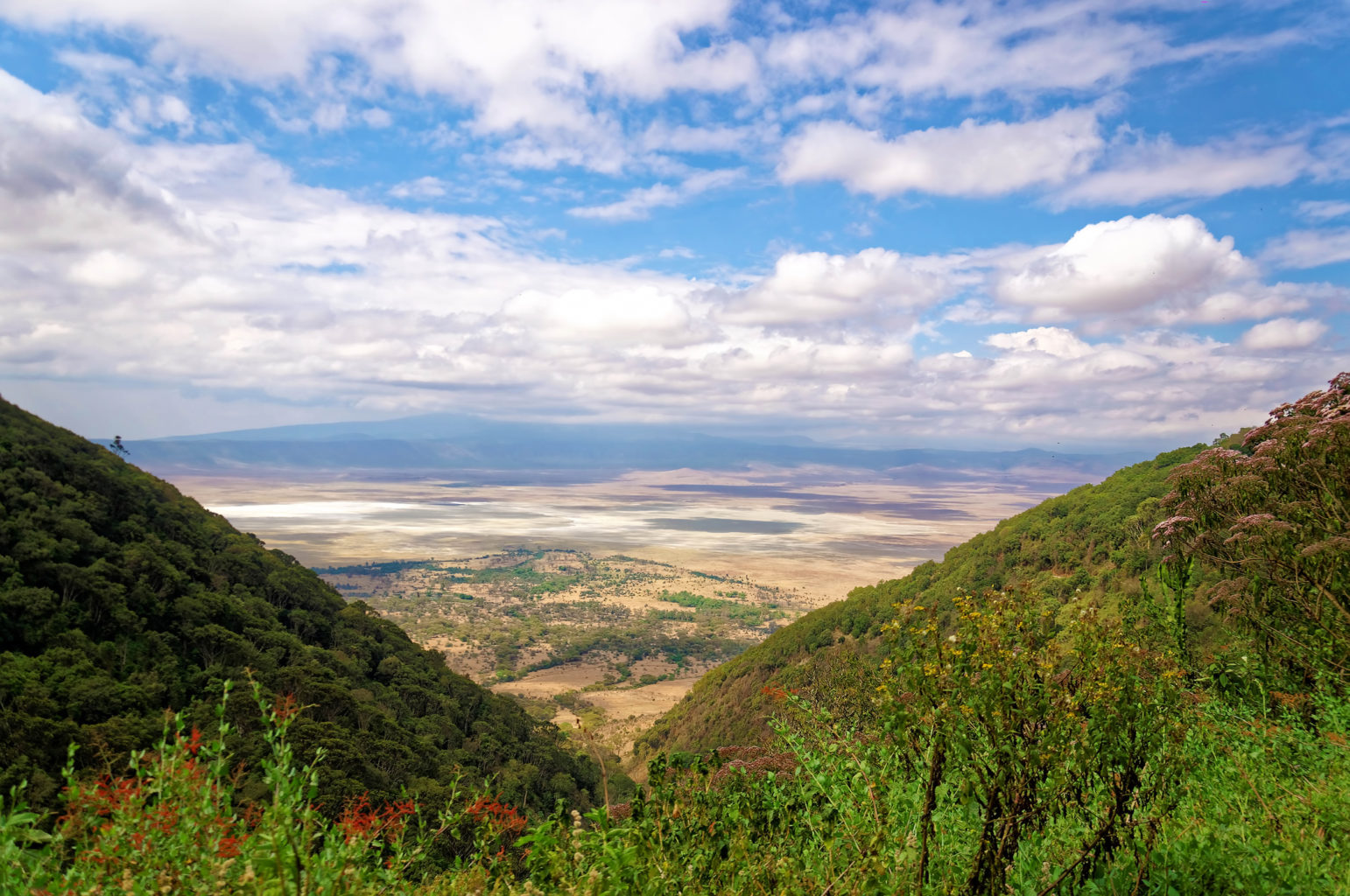 Área de Conservación de Ngorongoro (incl. Cráter)