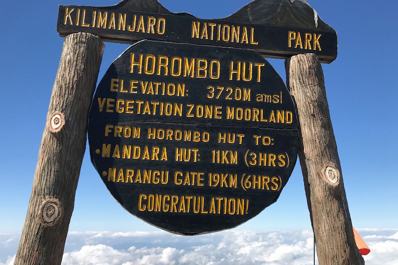 Ruta Marangu 6 días, día 2: Cabañas Mandara (2.700 m/ 8.858 ft) - Cabañas Horombo (3.720 m/ 12.204 ft)
