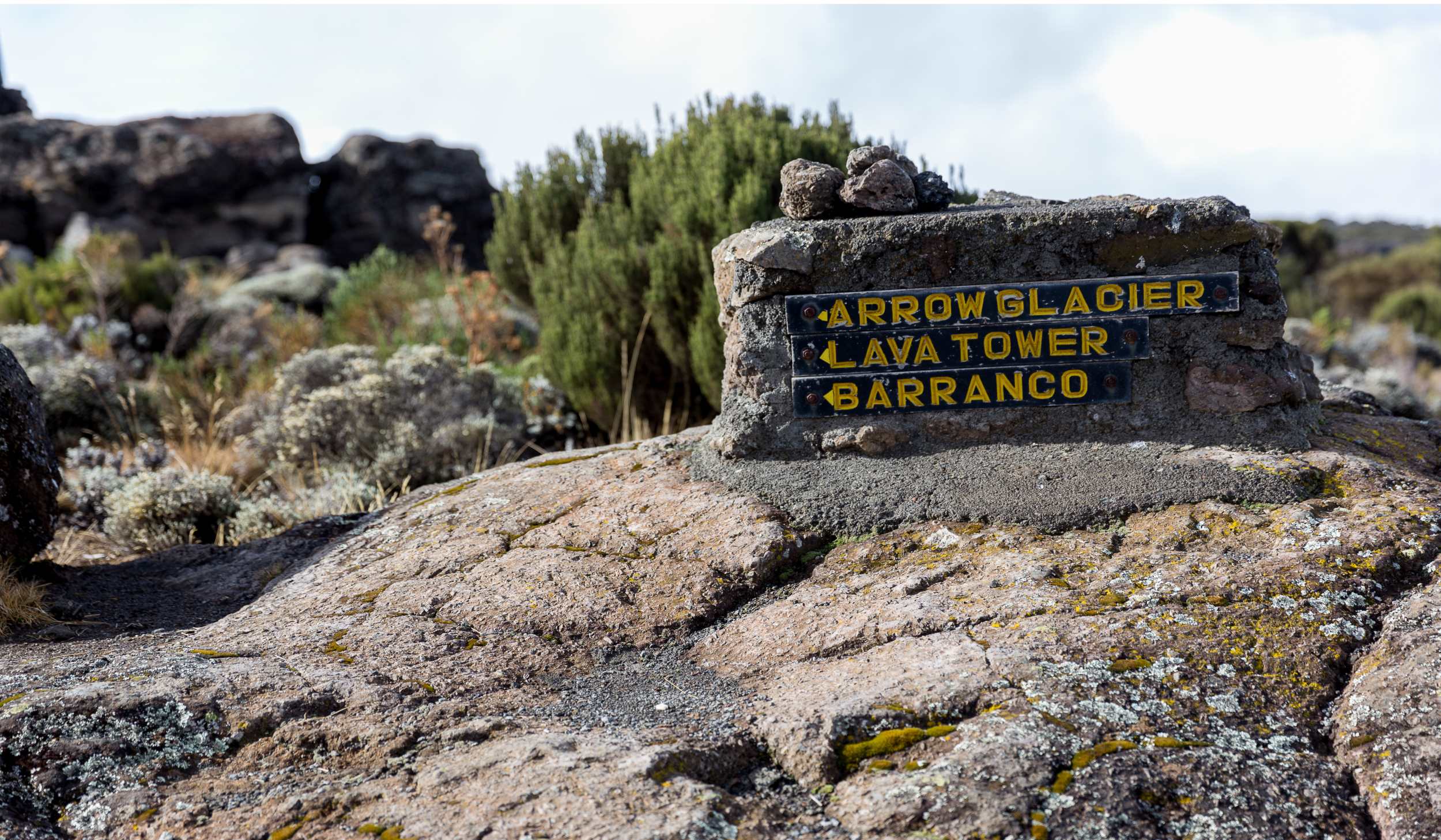 Ruta de Lemosho 7 días, día 3: Campamento Shira 2 (3900 m/ 12,795 ft) - Lava Tower (4630 m/ 15,190 ft) - Campamento Barranco (3960 m/ 12,992 ft)