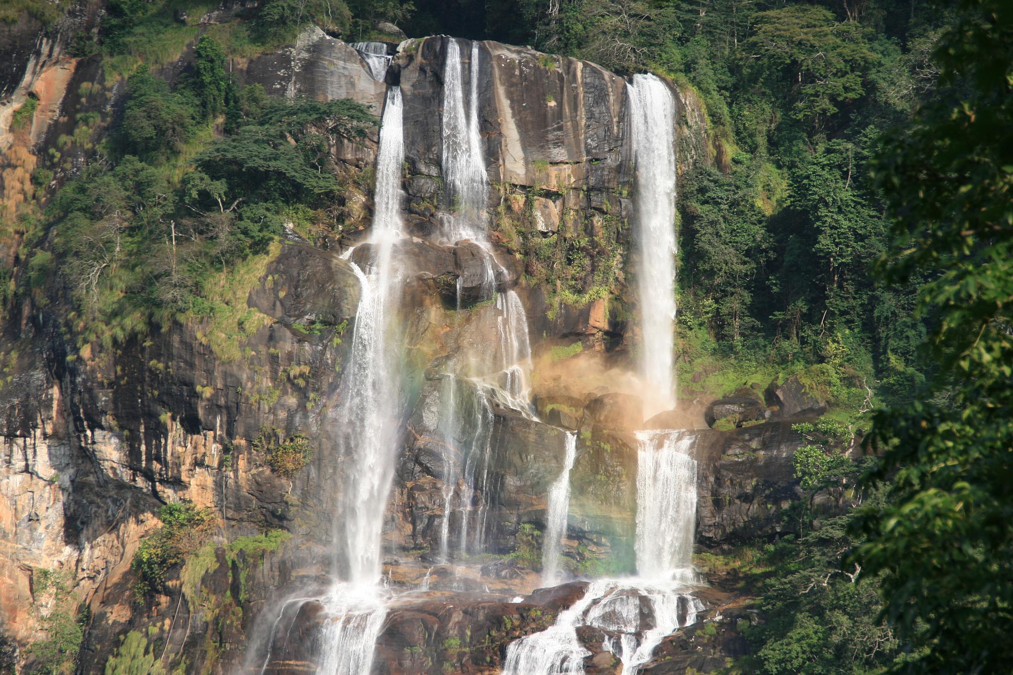 Senderismo en Udzungwa hasta las cascadas de Sanje