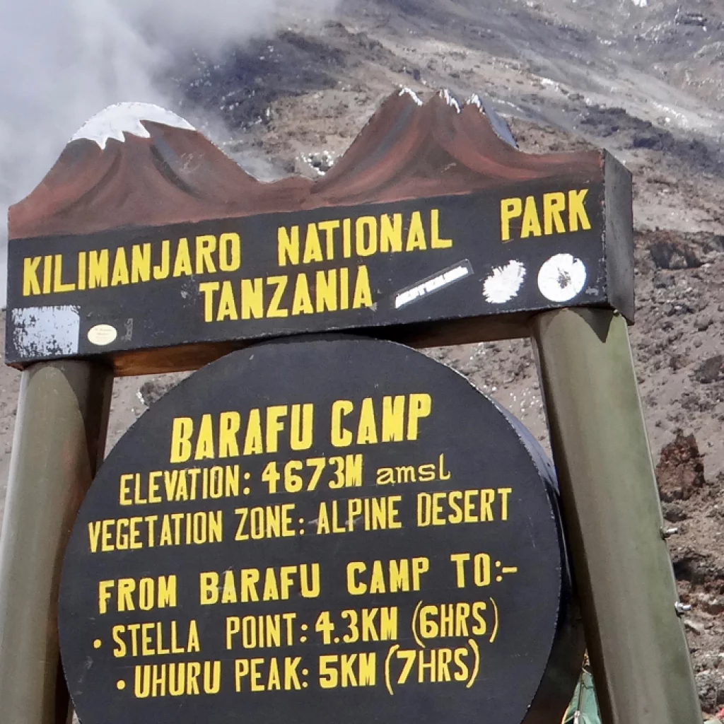 Ruta de Lemosho 7 días, día 5: Campamento Karanga (4035 m/ 13,238 ft) - Campamento Barafu (4640 m/ 15,223 ft)