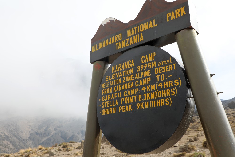 Ruta Machame, día 4/7: Campamento Barranco (3960m) a Campamento Karanga (4035m)