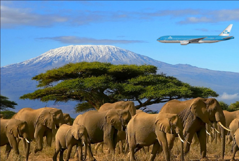 Llegada al aeropuerto internacional de Kilimanjaro para el ascenso