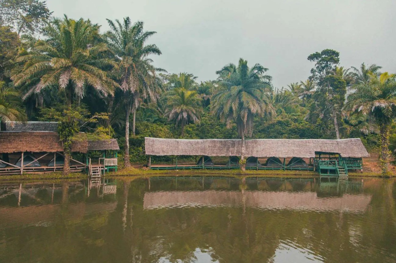 Magoroto Forest Estate