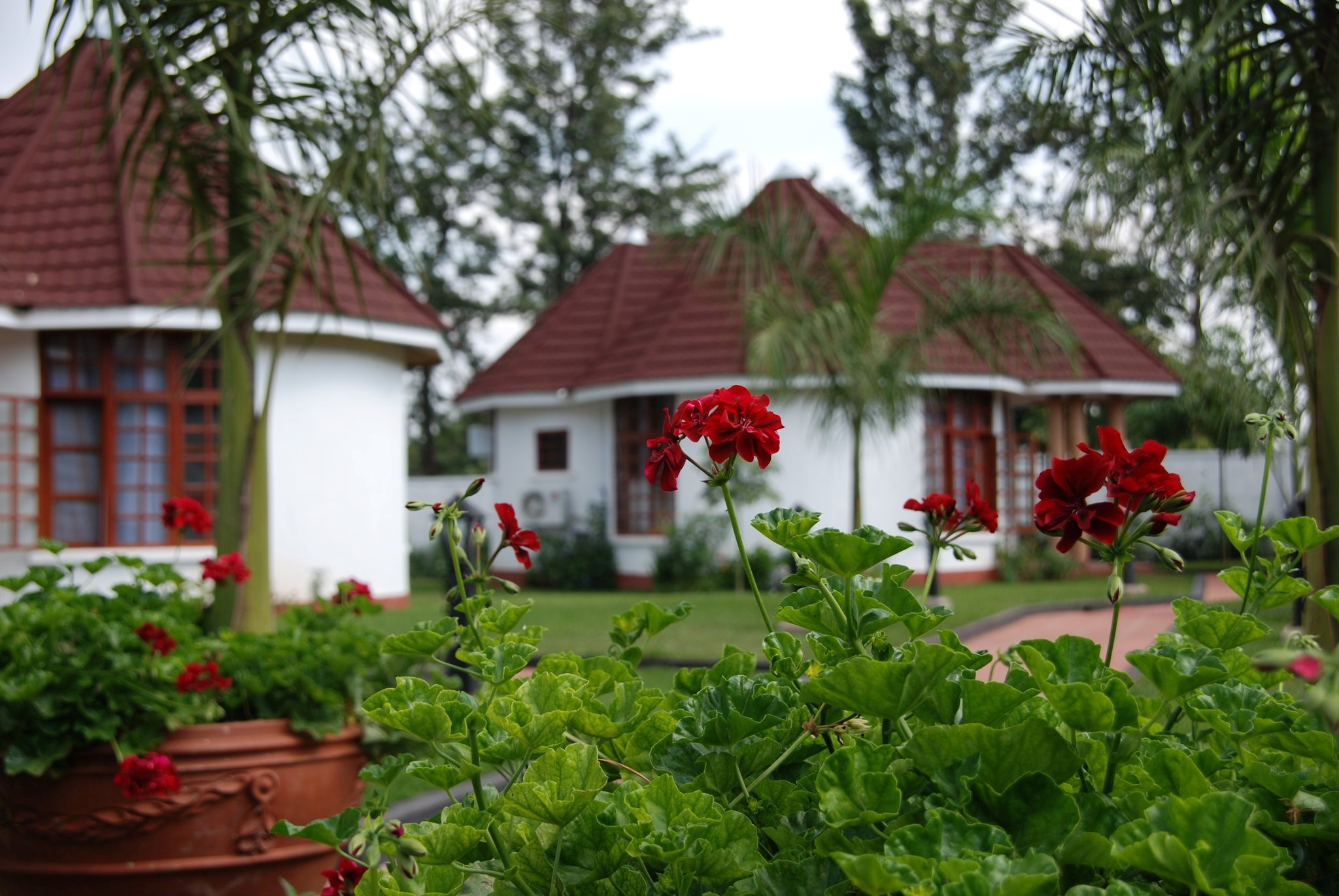 Salinero Kilimanjaro Lodge