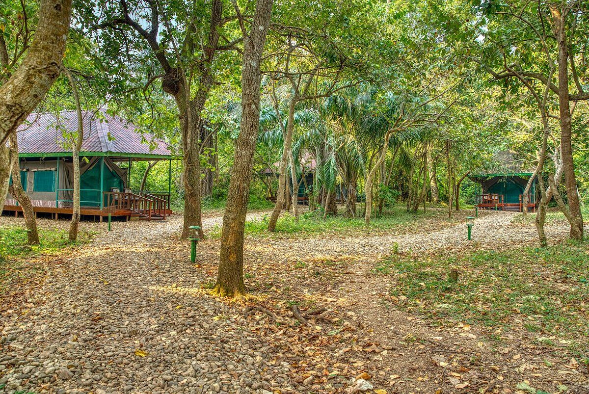 Mbali Mbali Gombe Lodge