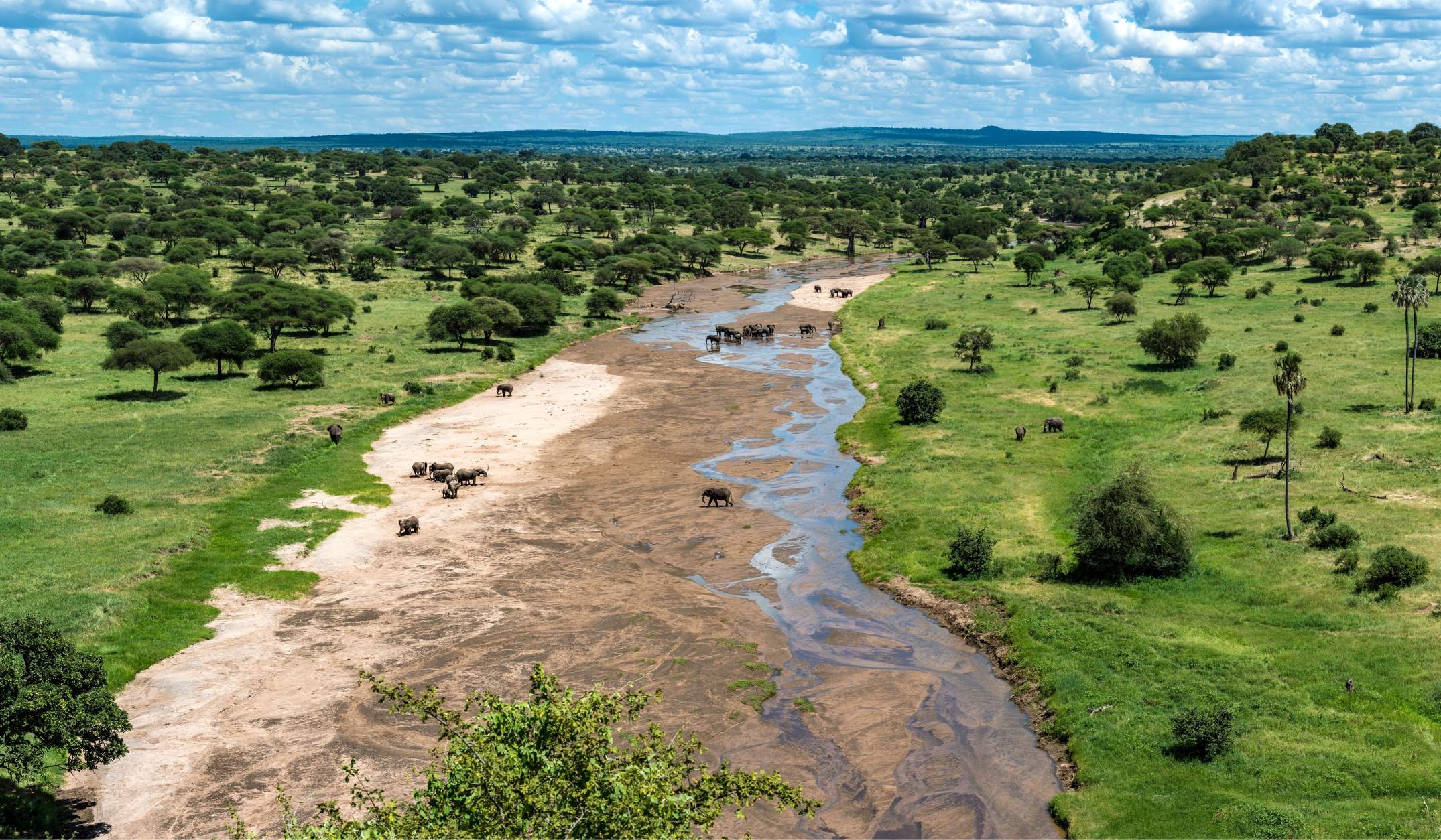 Parque Nacional de Tarangire en avión - experiencia de lujo