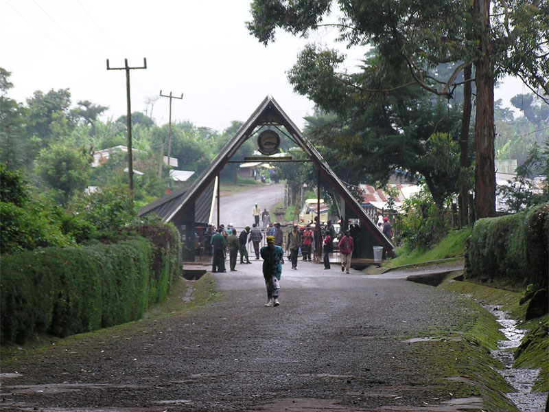 Ruta Rongai (6/6) | Horombo Huts (3720 m) - Marangu Gate (1860 m) - Hotel