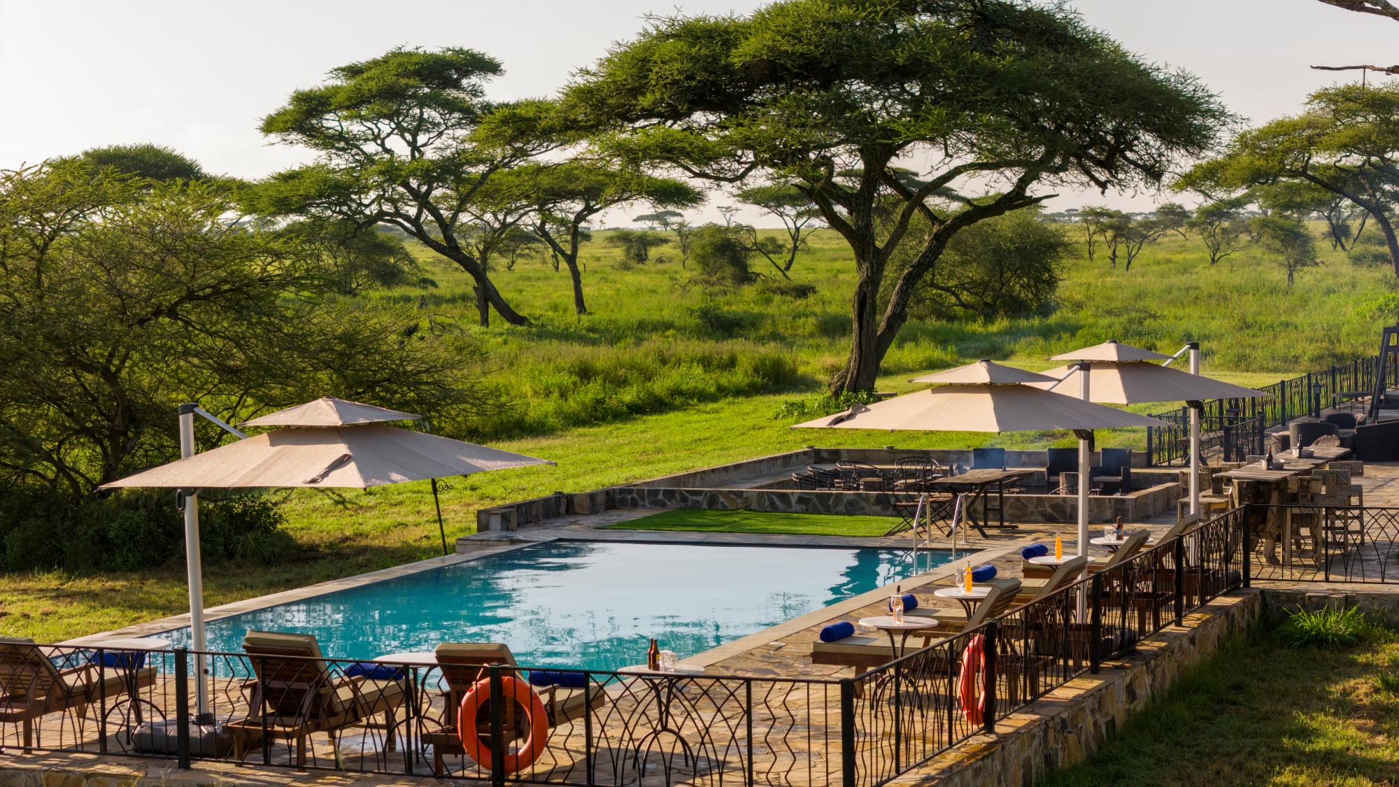 Serengeti Sametu Camp by Karibu Camps & Lodges