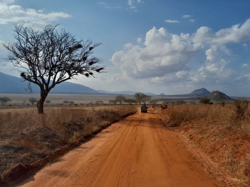 recomendaciones duracion viaje safari