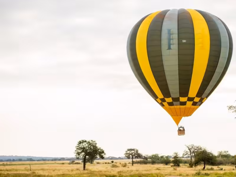 experiencias de lujo en Tanzania