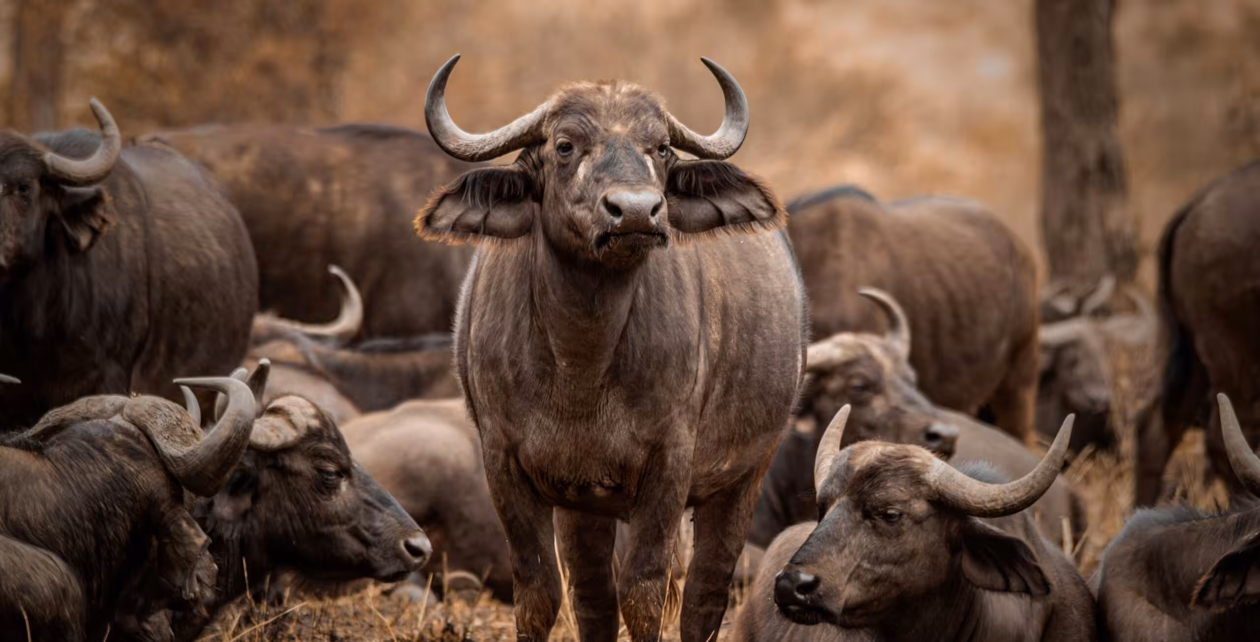 Parque Nacional del Lago Manyara