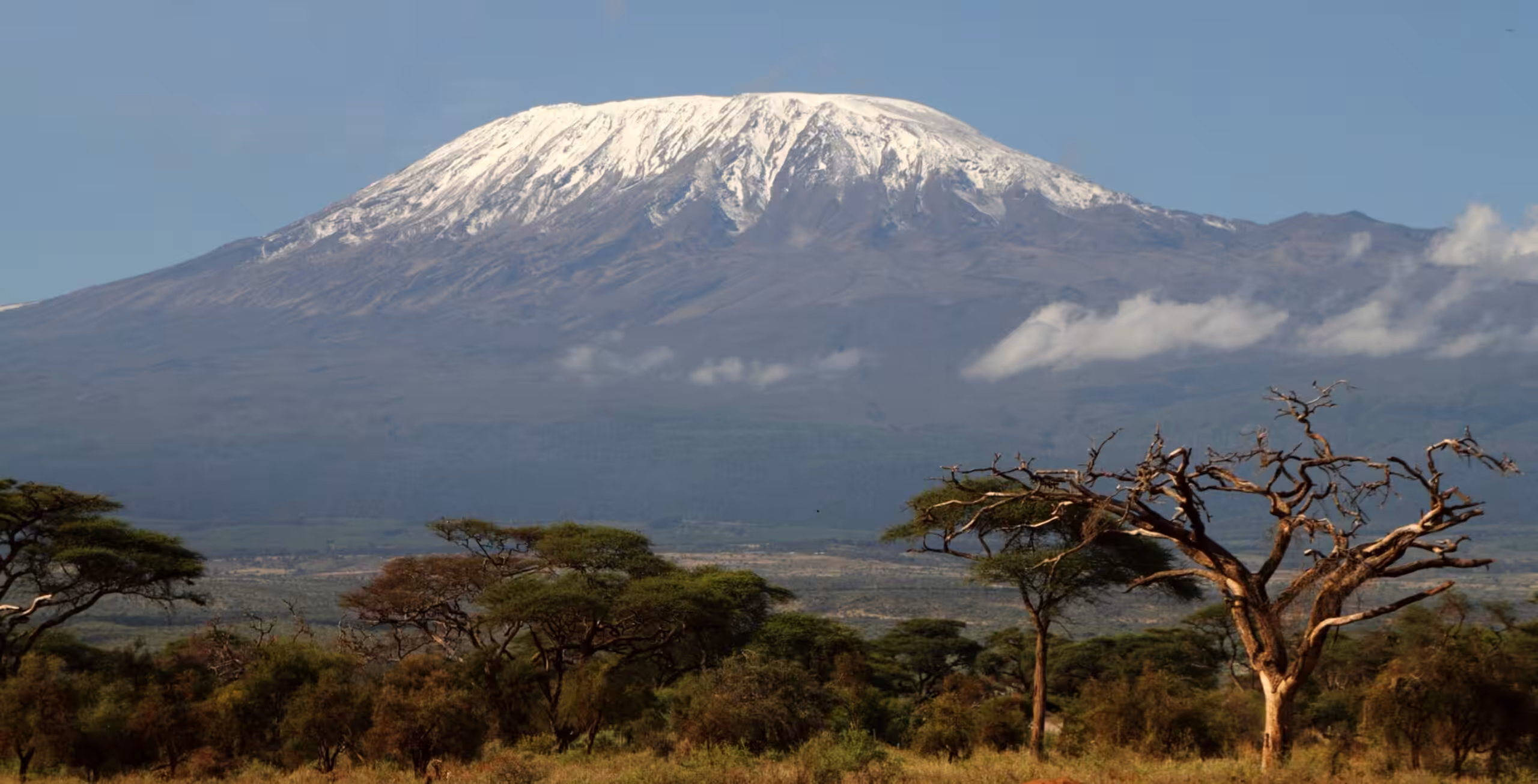 Llegada al aeropuerto Internacional de Kilimanjaro para el ascenso
