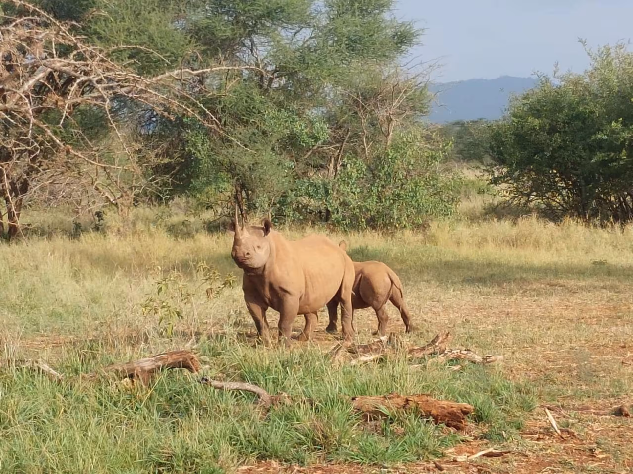 Parque Nacional Mkomazi