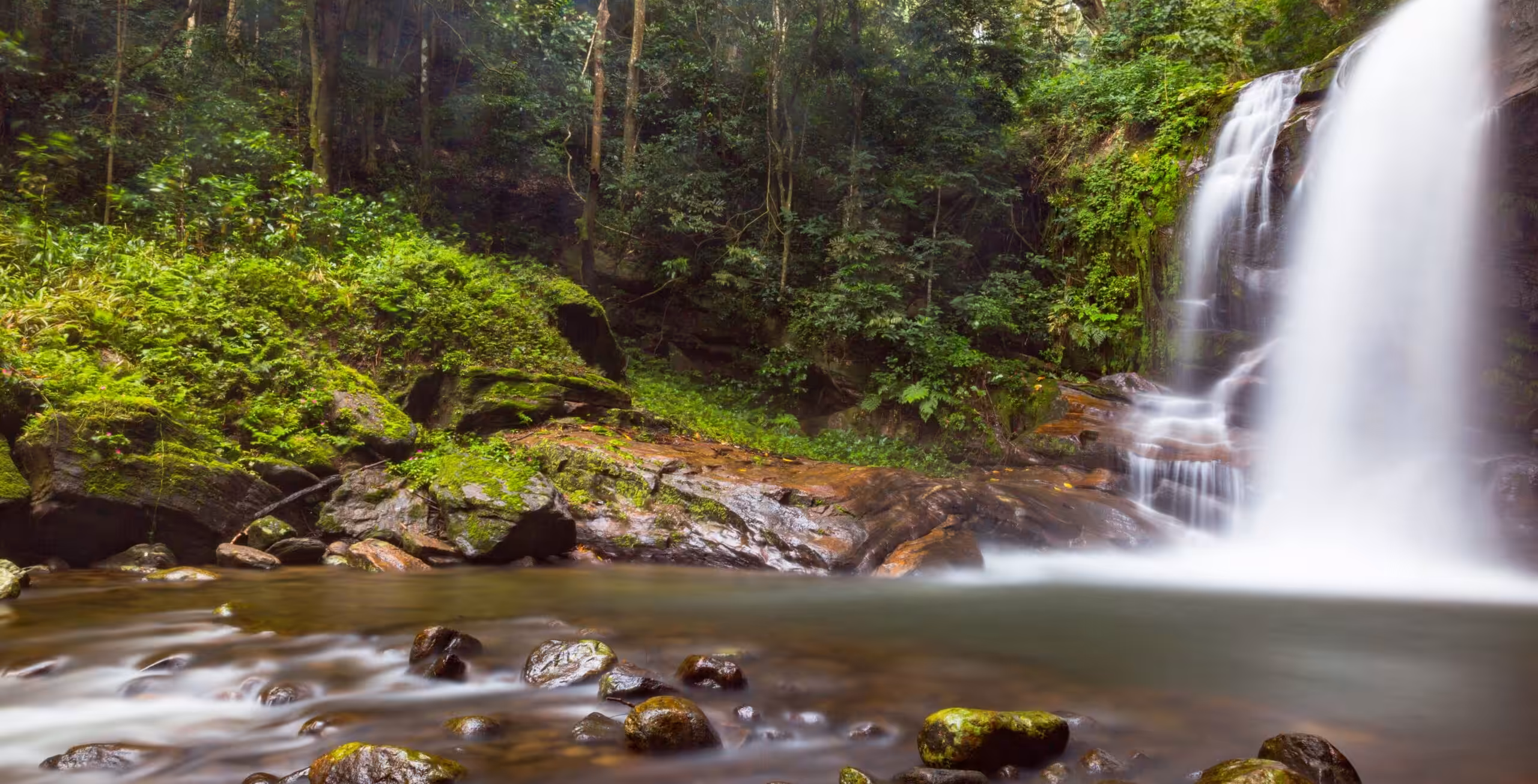 Parque Nacional de Udzungwa
