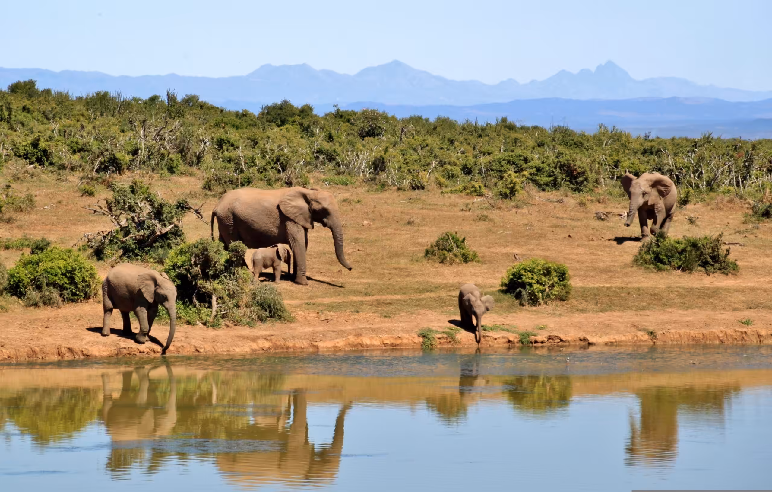 Parque Nacional de Tarangire en avión - experiencia de lujo