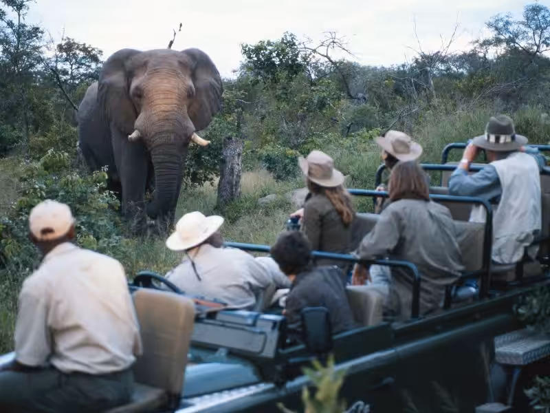 consejos para viajar en grupo a tanzania