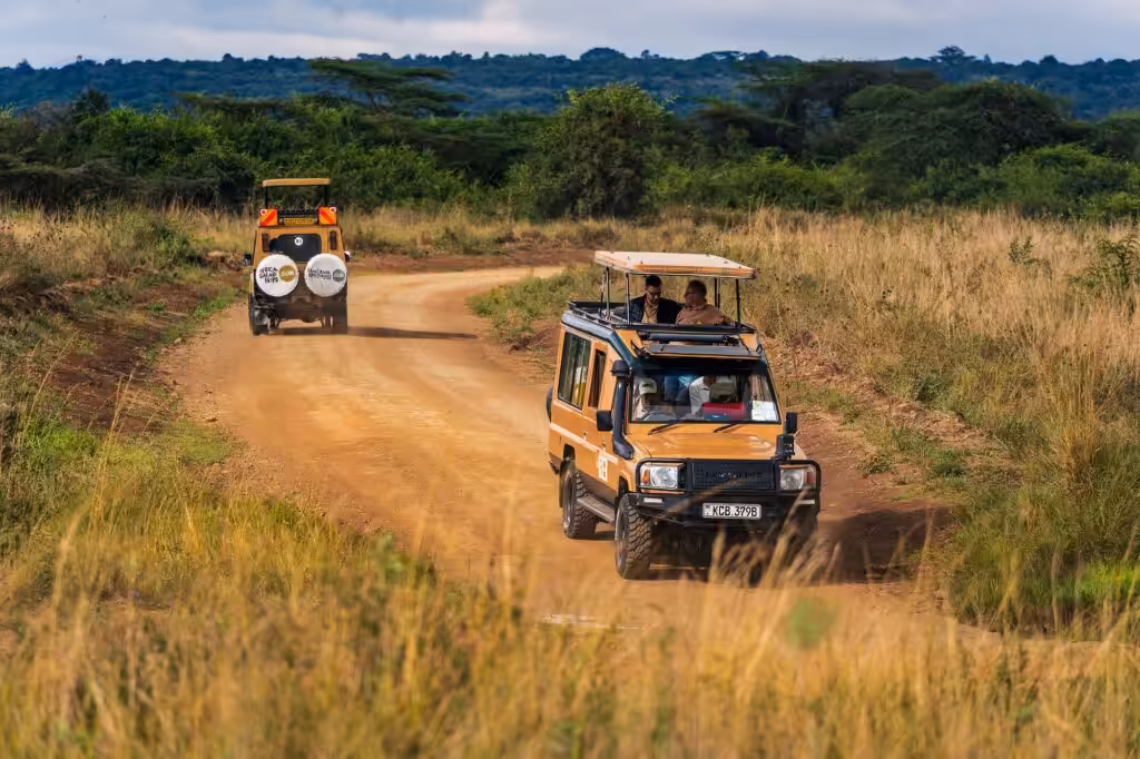 Two safari jeeps with passengers looking out of the open roof, with the jeeps going in opposite directions on a sandy road in the African Bush