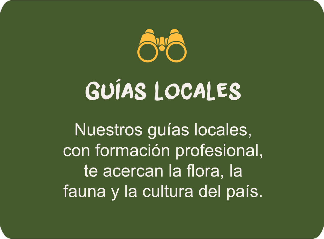 Local guides